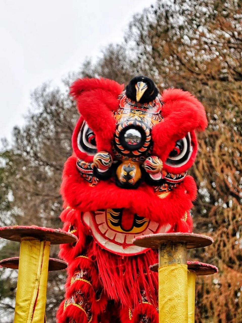 中国舞狮vs韩国舞狮 号称舞狮有1800年历史的世界先进