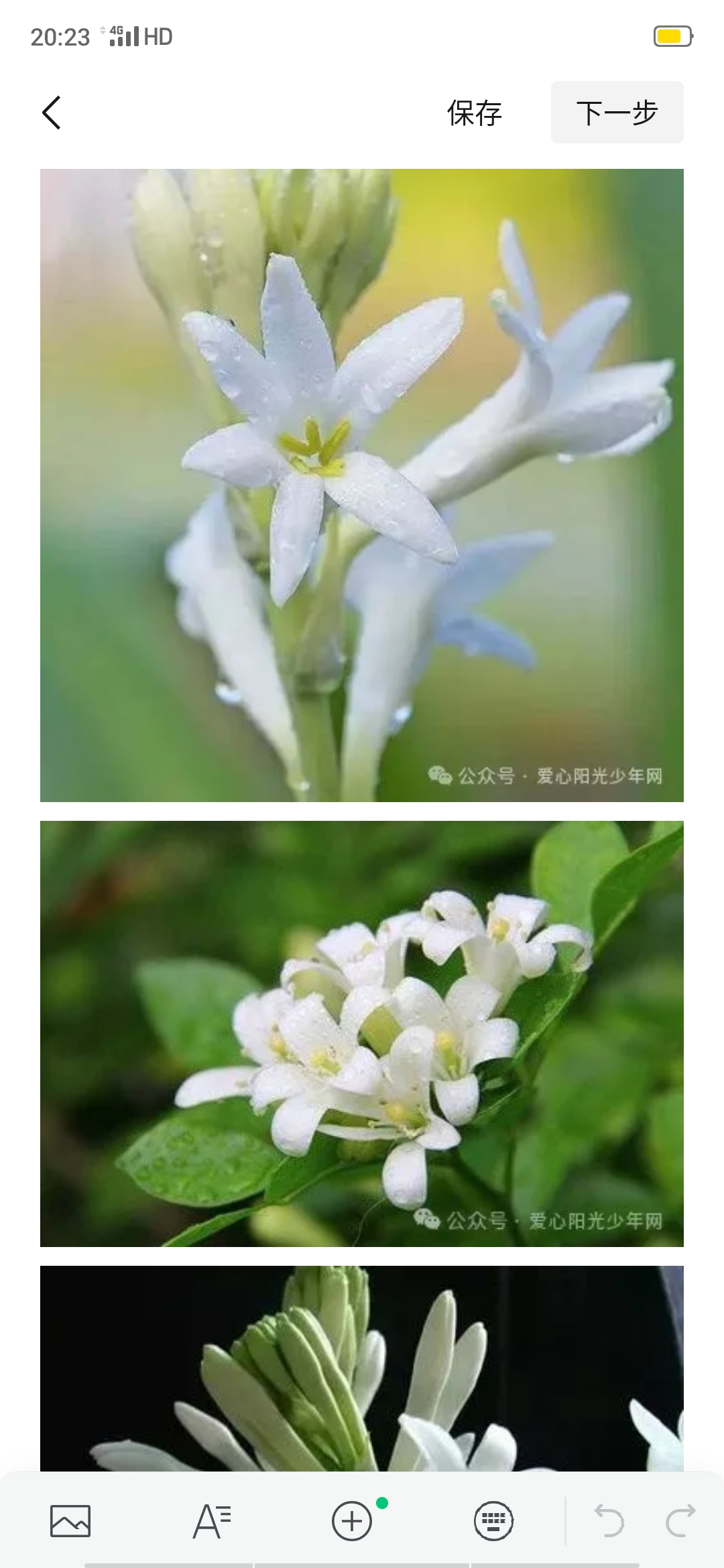 少儿读物-夜来香花的品种,爱心阳光少年网      小朋友们,这是一朵