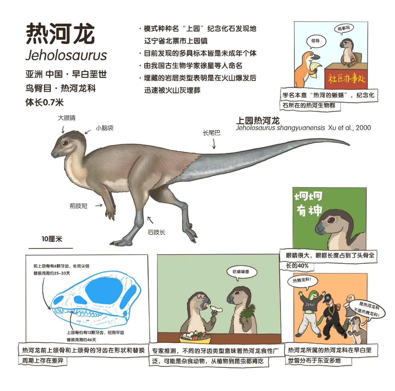 恐龙历史资料及图片图片