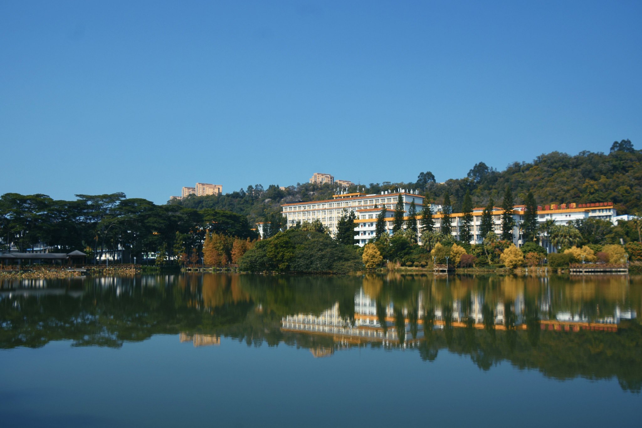 福建农林大学双色荷花火出圈,这所学校怎么样