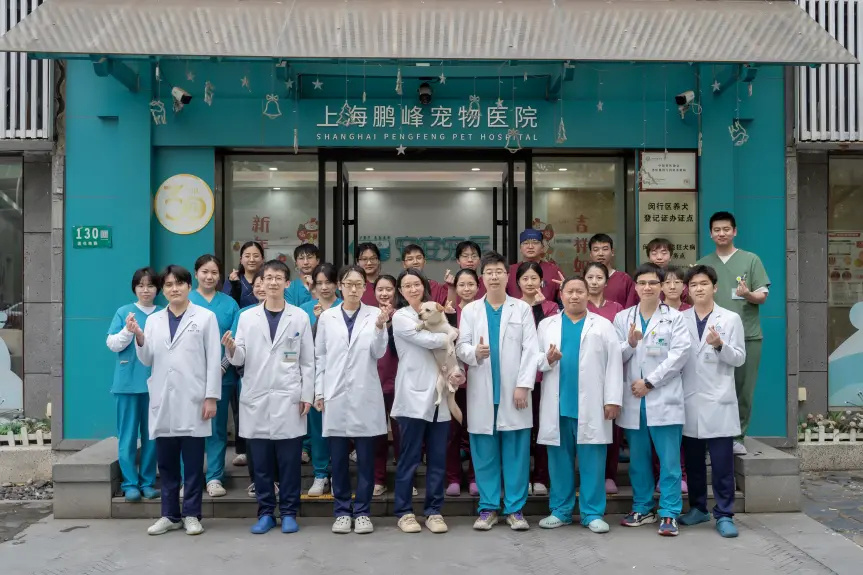 新瑞鹏旗下宠物医院获宠主认可,宠主表扬信投递至主管部门