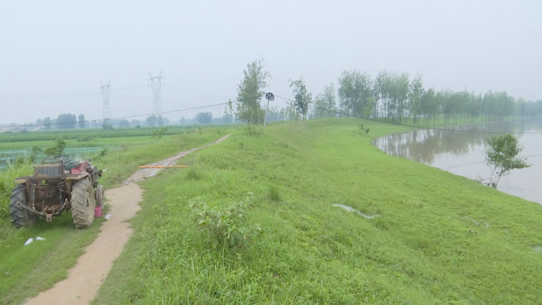 上蔡县黄埠镇:积极采取措施防灾减灾 打好农田"保卫战"