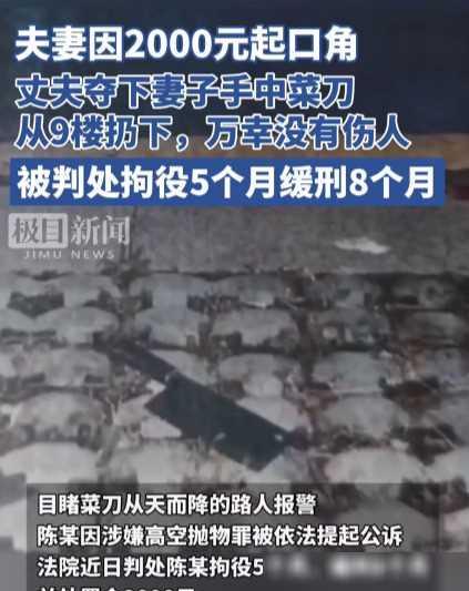 丈夫夺下妻子手中菜刀从9楼扔下,万幸没有伤人,被判处拘役5个月,缓刑8