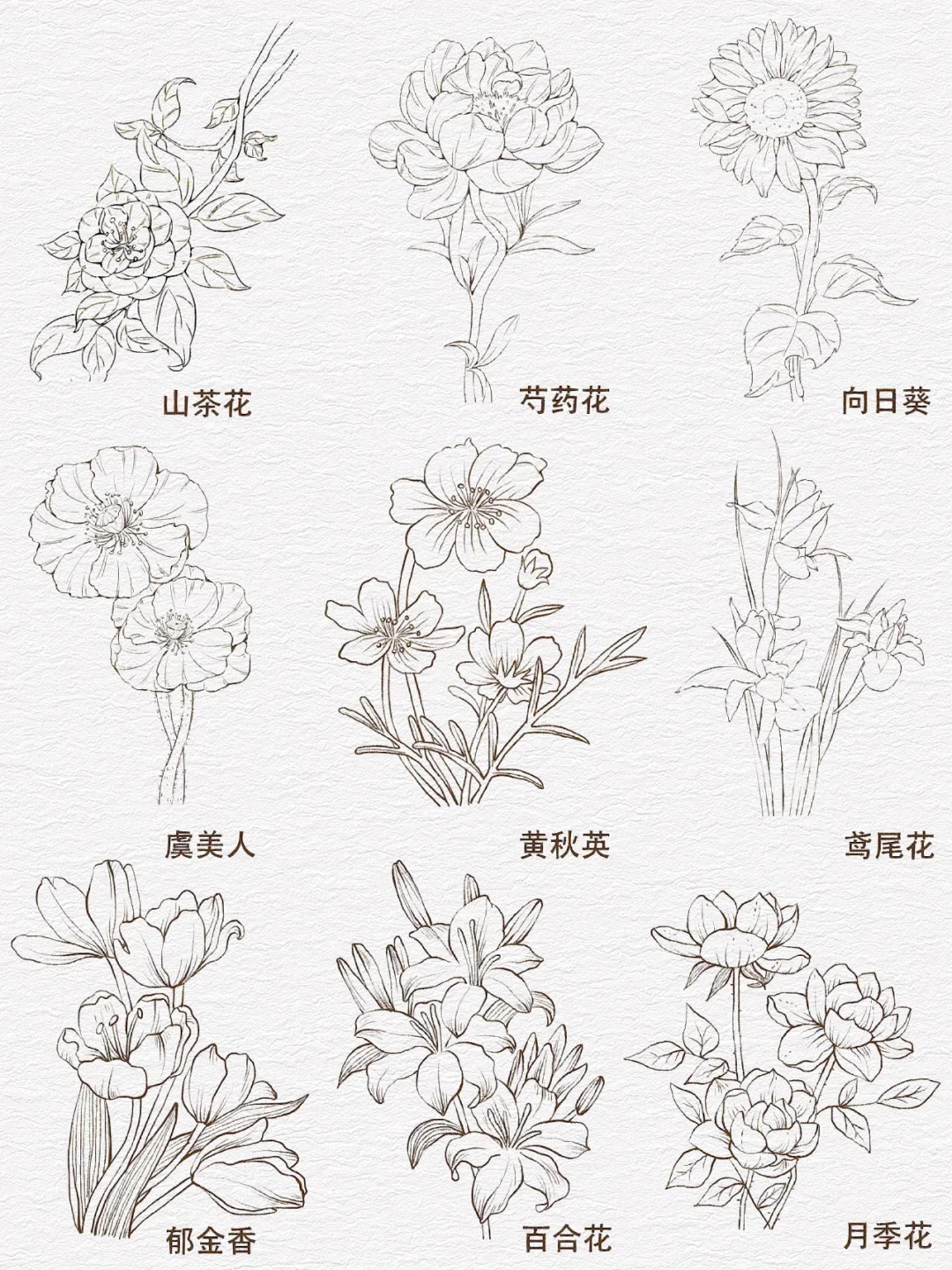 "浪漫的灵魂从不向平淡的日子妥协" "随心所欲的生