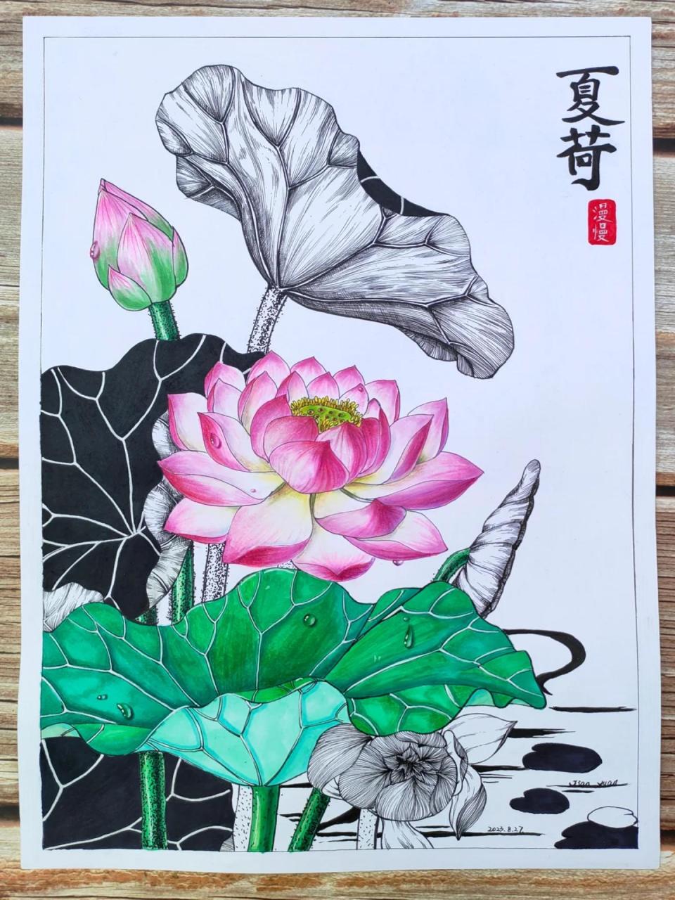 荷花马克笔绘画线描装饰画插画儿童画原创 从前总觉得荷花是最好画的