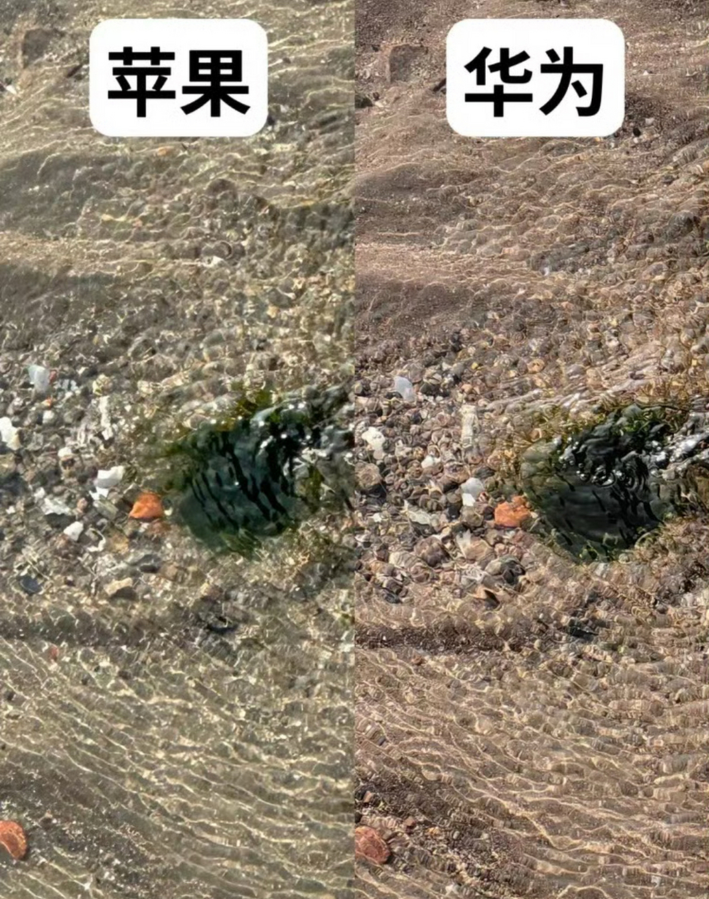 华为和苹果拍照对比,哪个更牛?