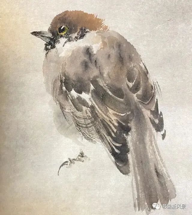 国画中的麻雀画法,适合初学者