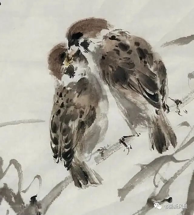 国画中的麻雀画法,适合初学者