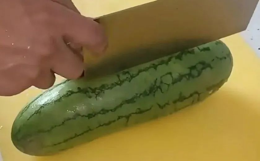 "什么东西"了,因为有一种冬瓜和西瓜相结合的瓜有着冬瓜的长条形刹哪