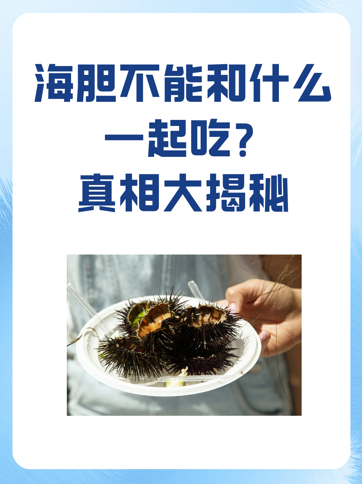 真相大揭秘 海胆不仅口感细腻而且营养丰富