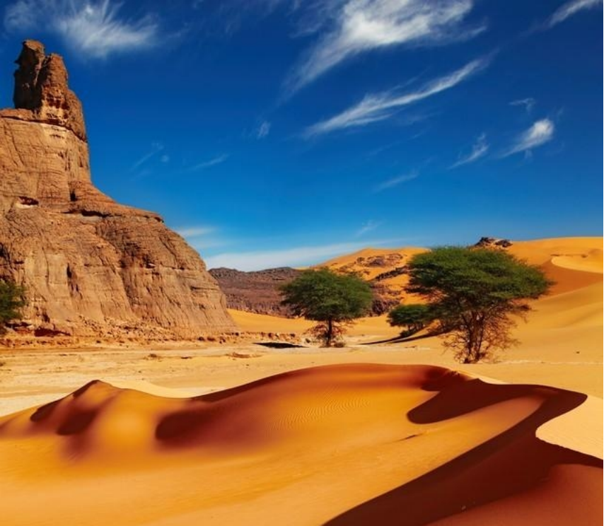 非洲撒哈拉沙漠中的旋角羚,没水都能活19年,它究竟有多耐渴?