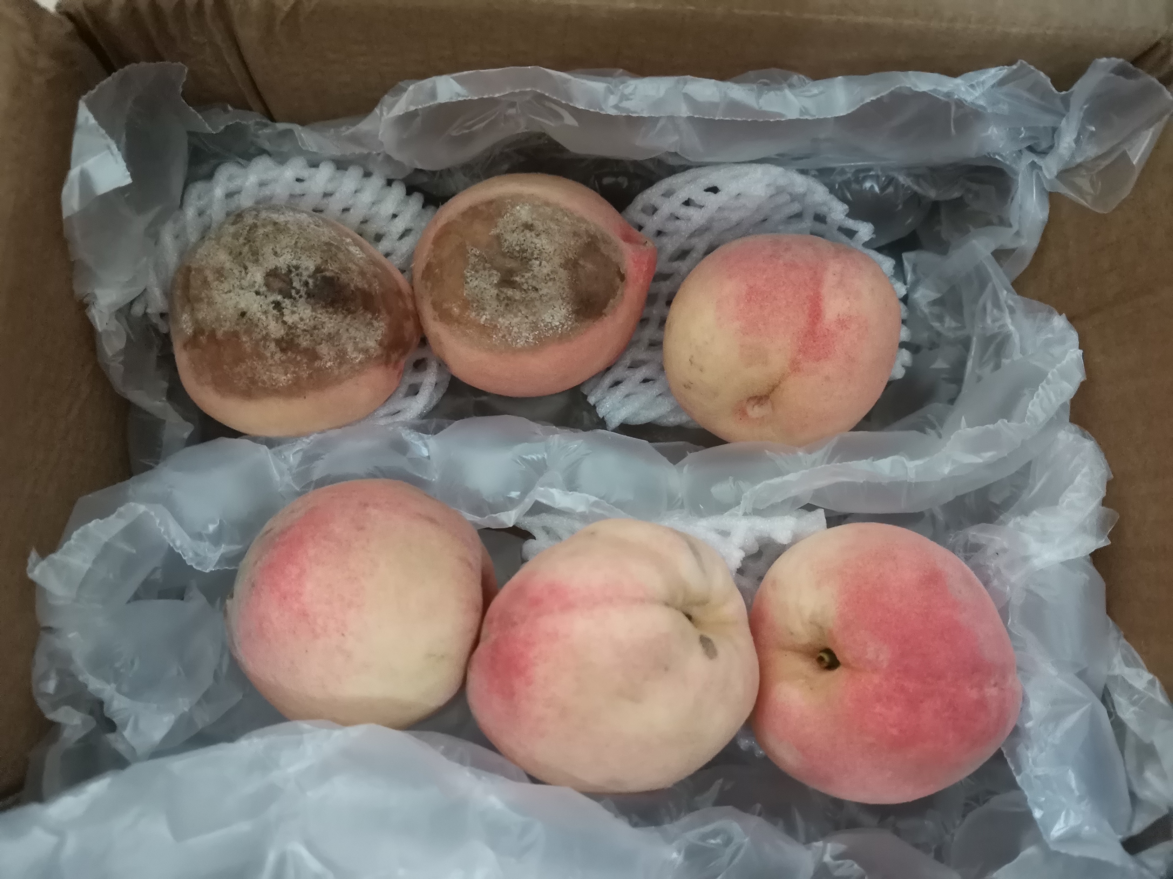 网上买了六个桃,收到货后烂了两个