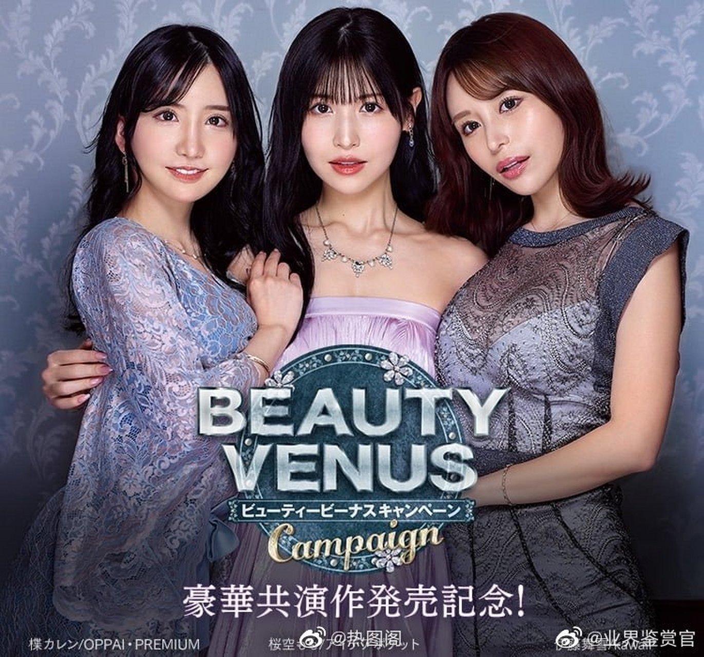 Beautylegsunny图片