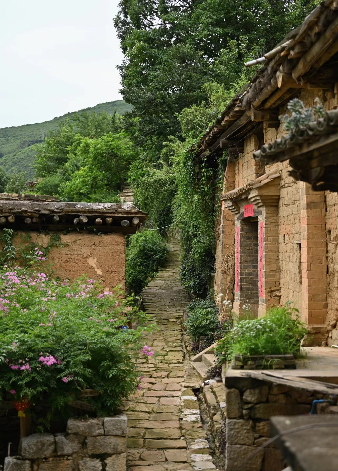 云南泸西的城子古村,在二百多米高的飞凤坡上坐落着错落有致的土掌房