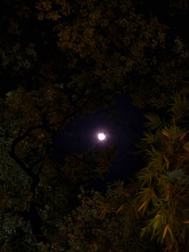 长眠