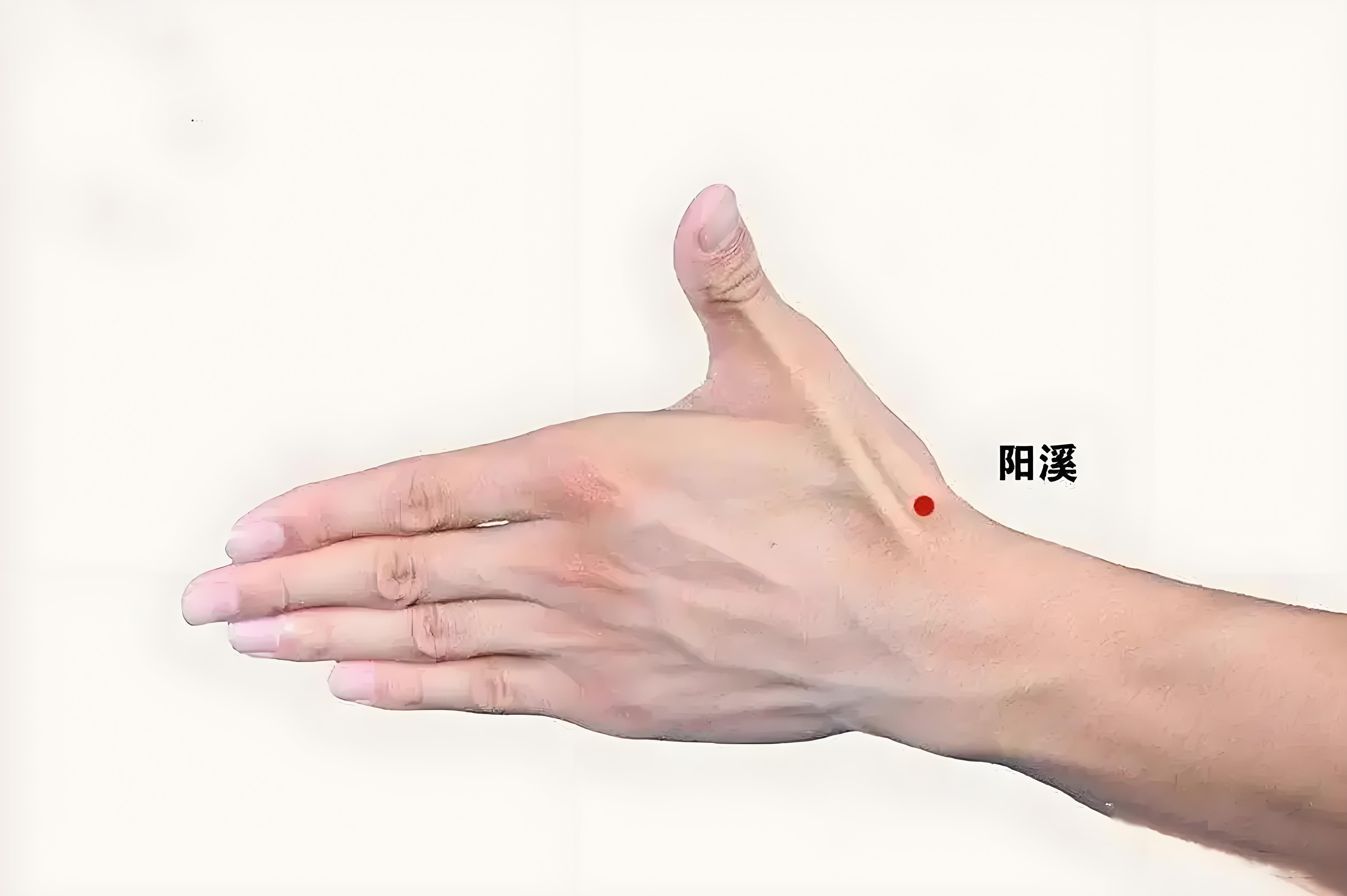 每日一穴:  阳溪(li5)  定位:在腕背横纹桡侧,拇指上翘时,拇长伸肌腱