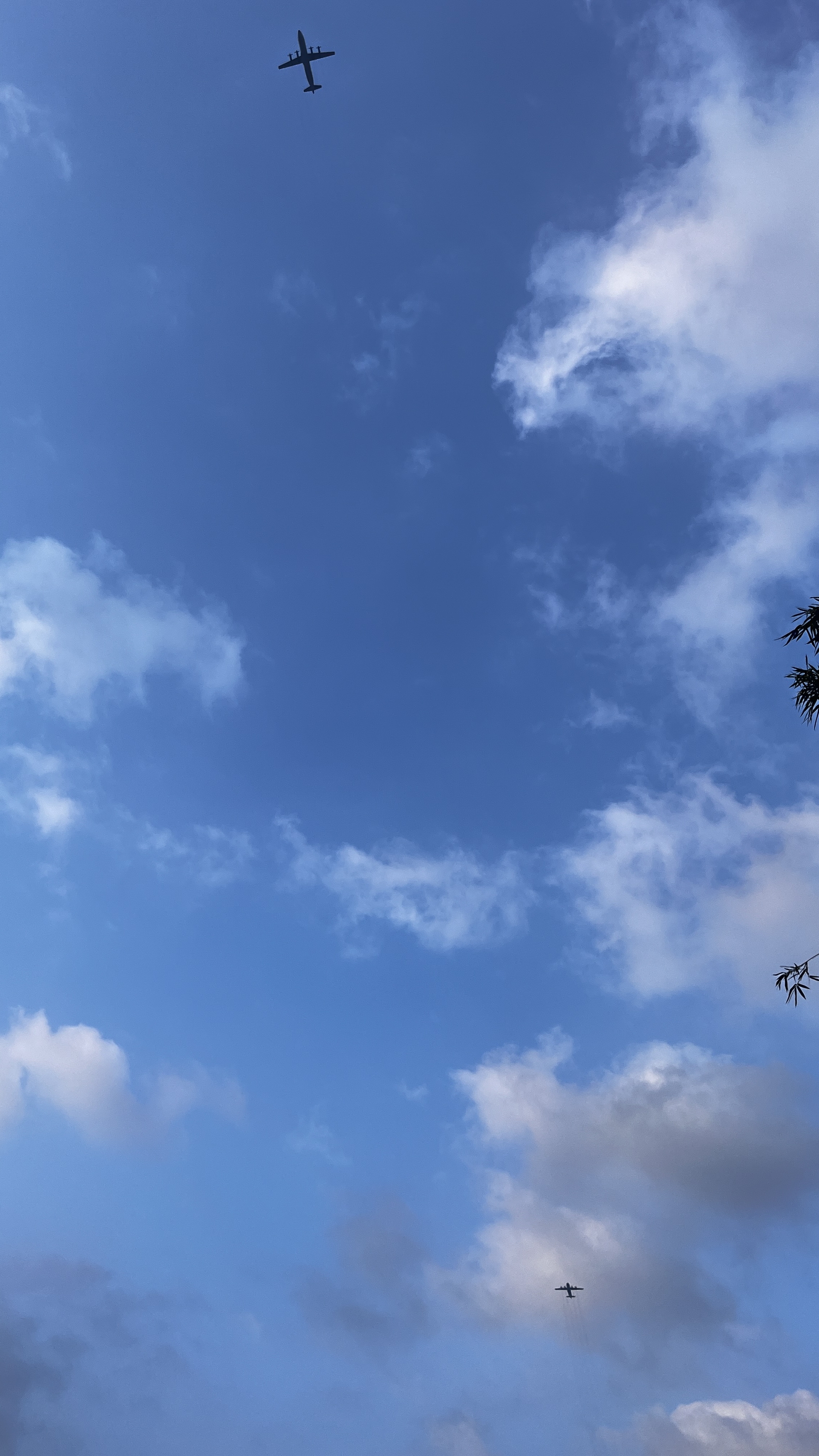 今天的天空真蓝,下午的时候,看到客机不停的从天空中掠过,轰隆隆的