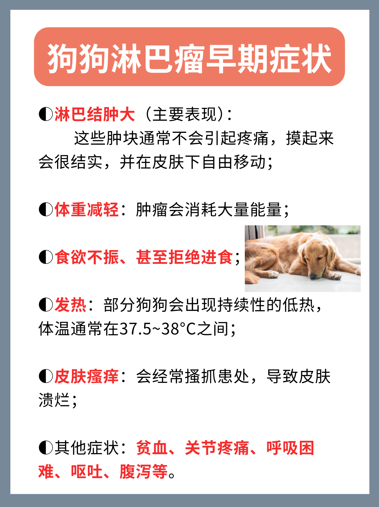 犬体表淋巴结分布图图片