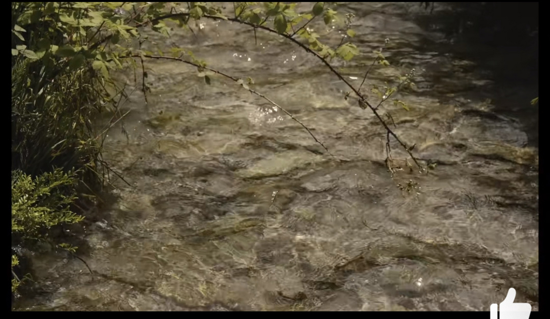 湖光山色,水波不兴,清澈见底的溪流潺潺流淌.