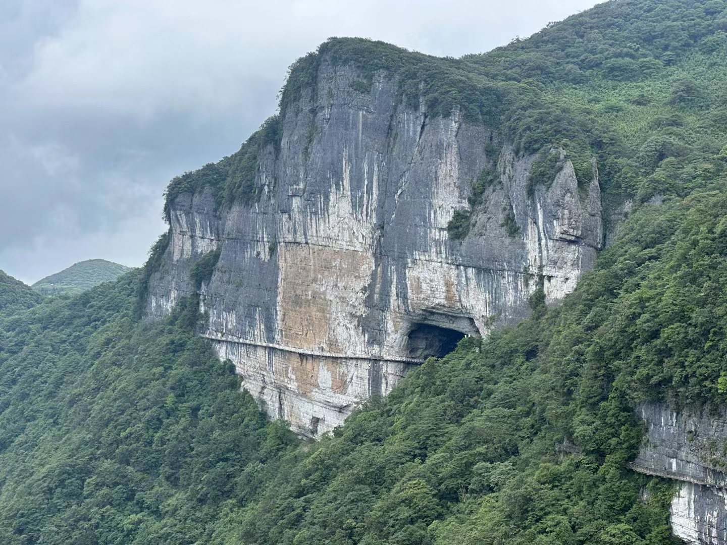 南川金佛山,应该是距离重庆主城最近的避暑胜地吧?