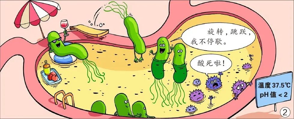 「漫绘科普」幽门螺杆菌是如何"攻陷"胃的?
