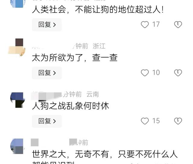 人命赔狗命,狗没拴绳被压,女子砸车叫嚣,两个月不露面不赔偿