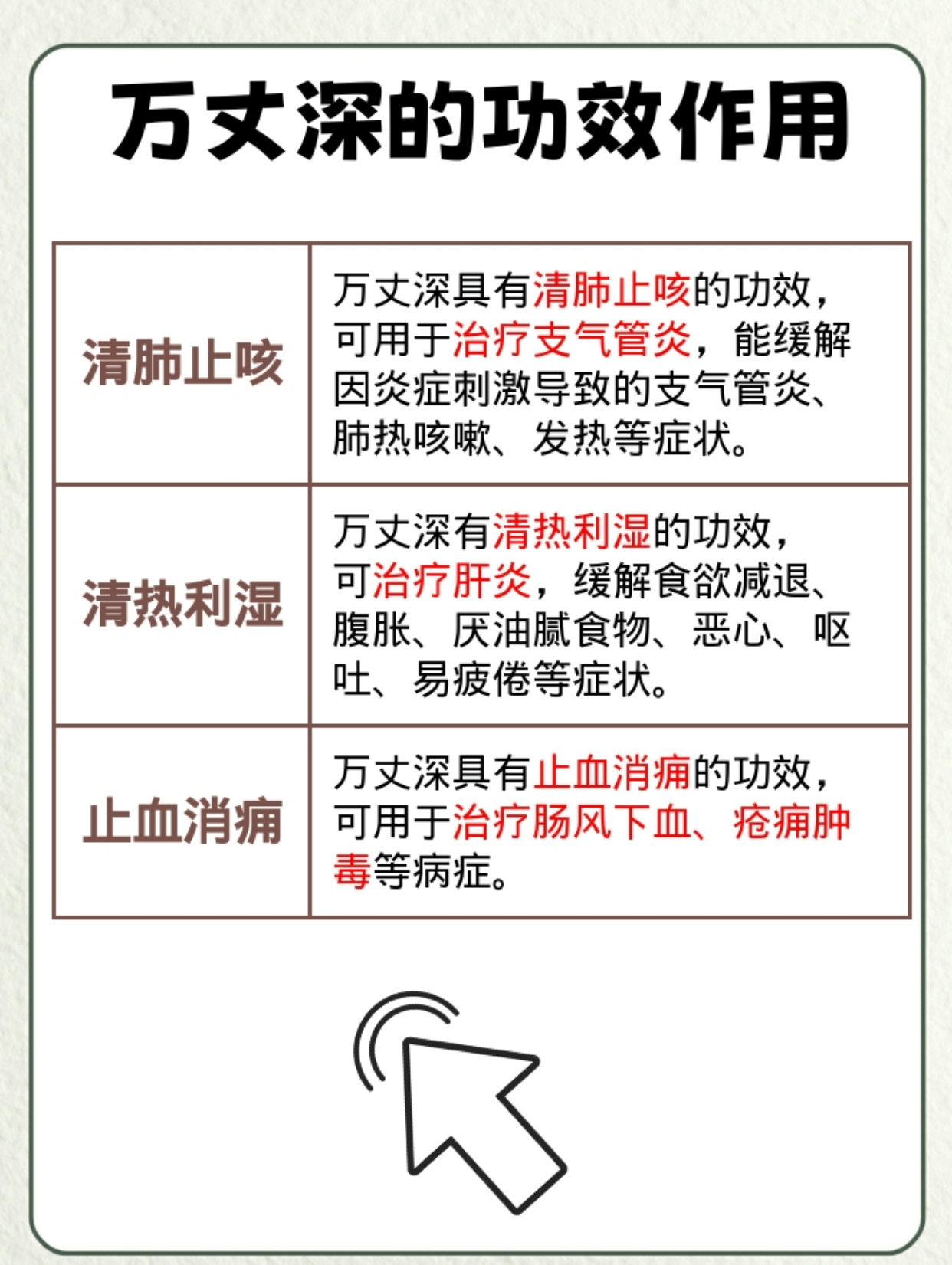 万丈深的功效作用是什么?如何安全服用?