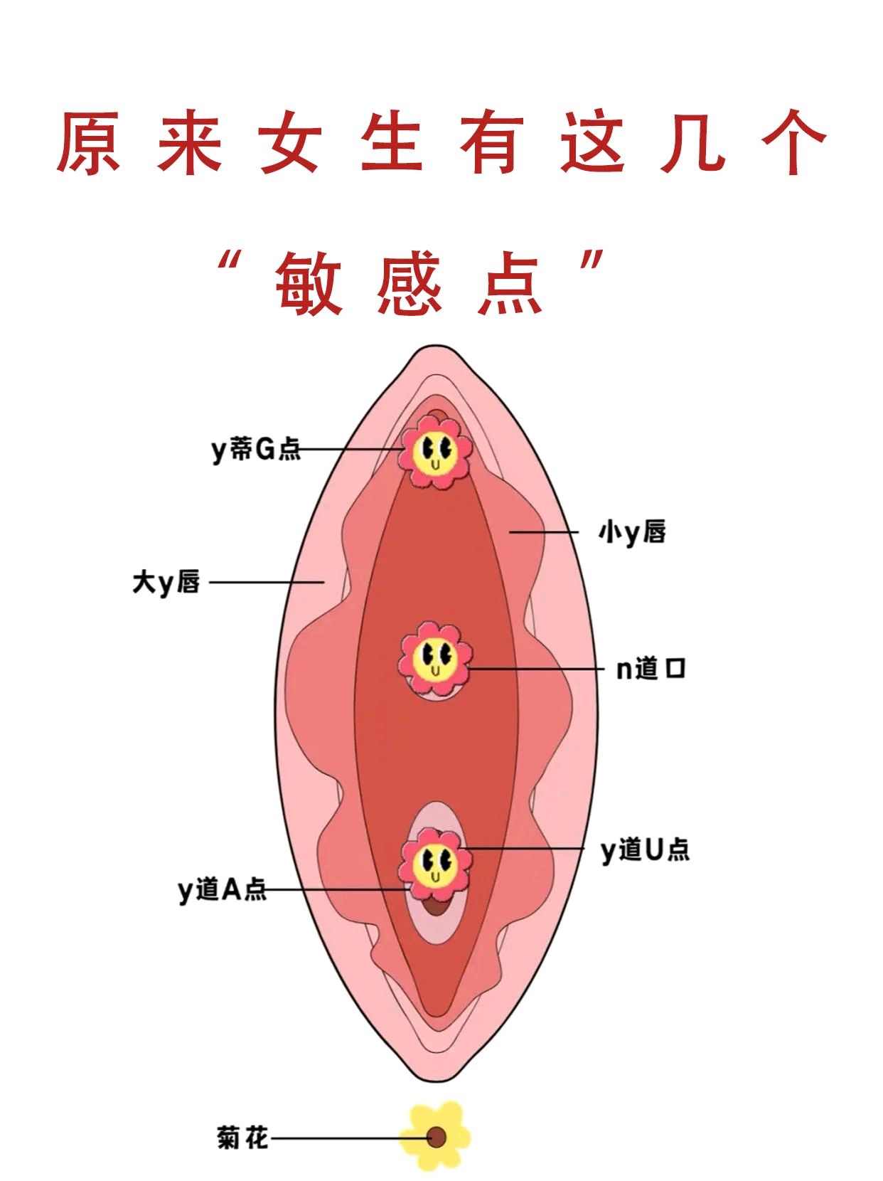 女性敏感点身体图片