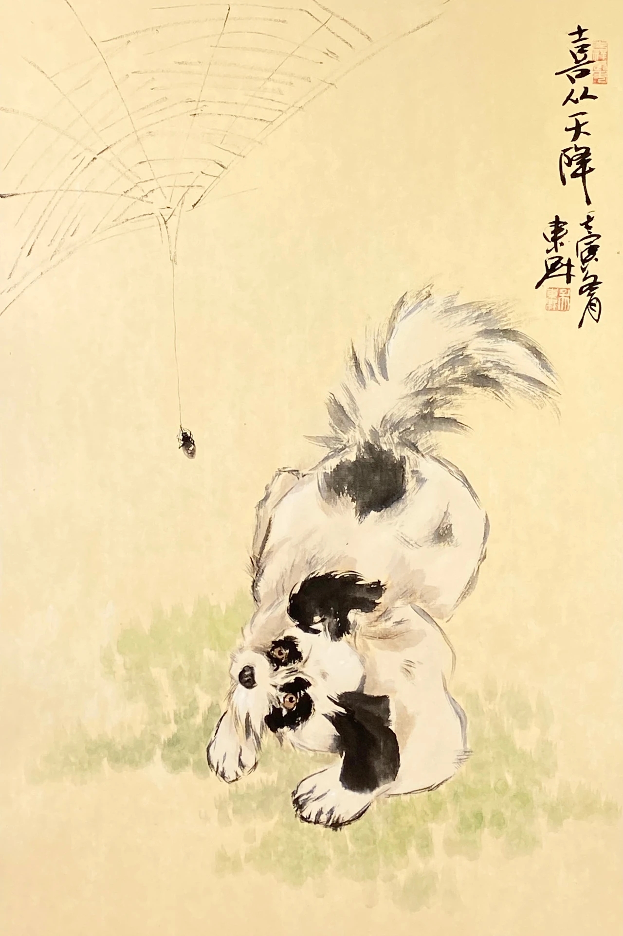 写意动物大写意动物国画写意动物写意动物画图片大全写意狗的图片大全