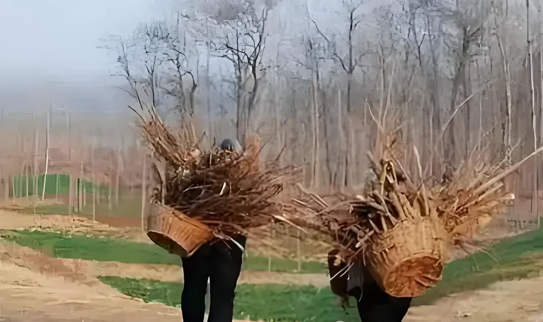 去乡下大伯家玩柴火堆
