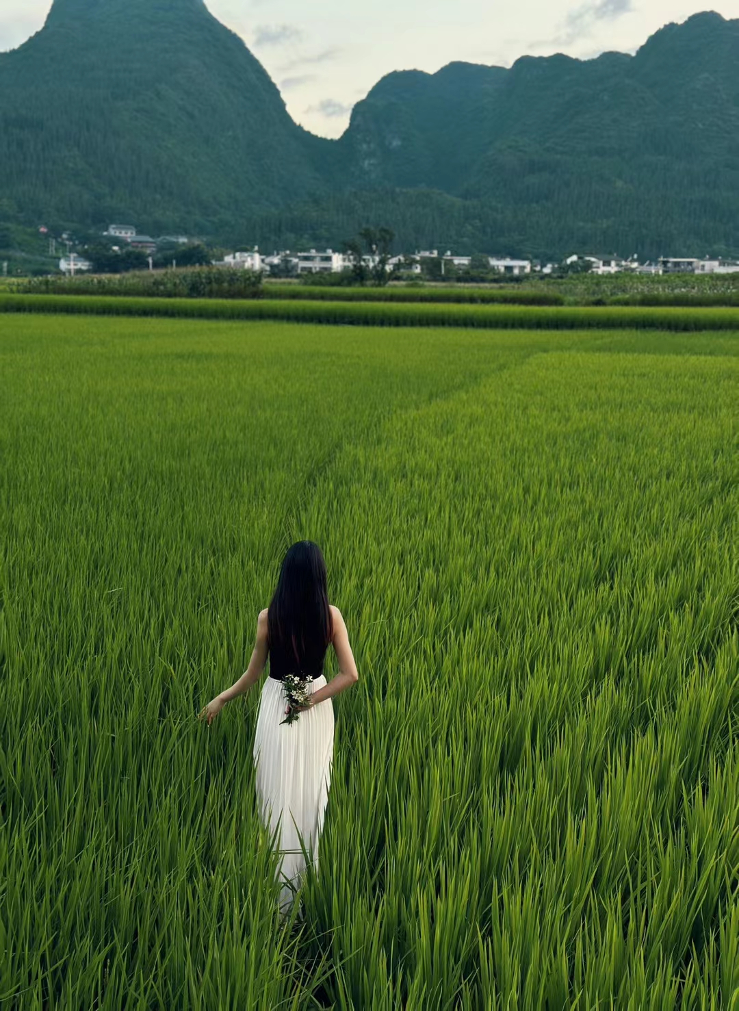 图片旅行美女美女旅行照旅游图片美女草原美女风景图片旅游美女图片