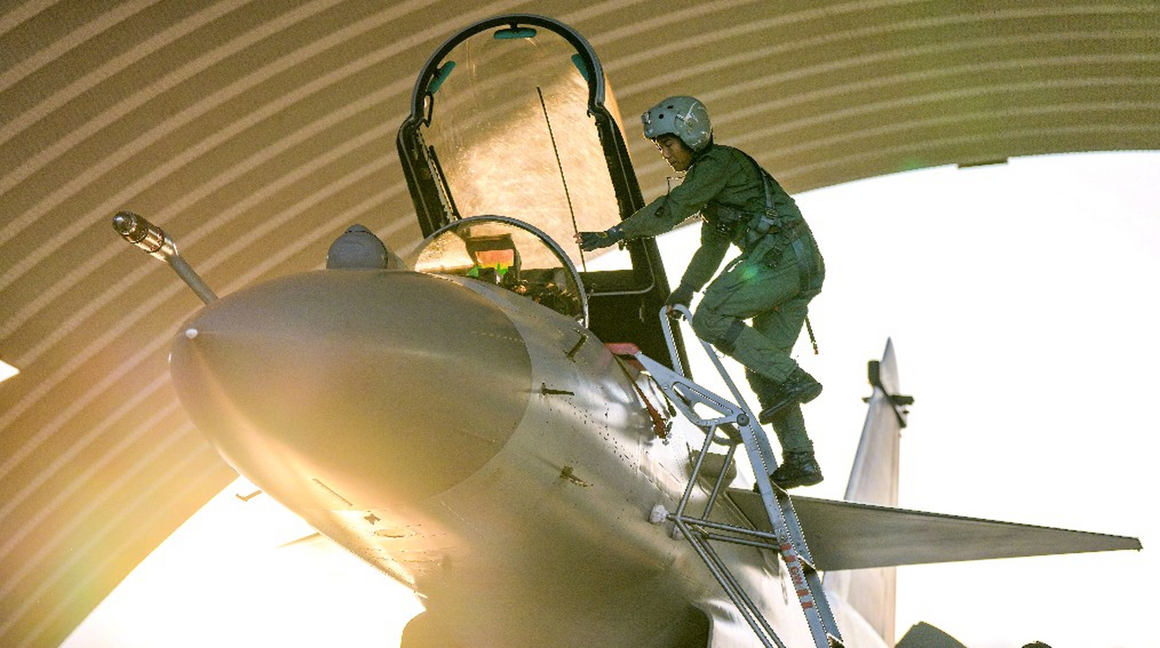 岭南猛龙|冲天而起|鹰击长空  #热点引擎计划