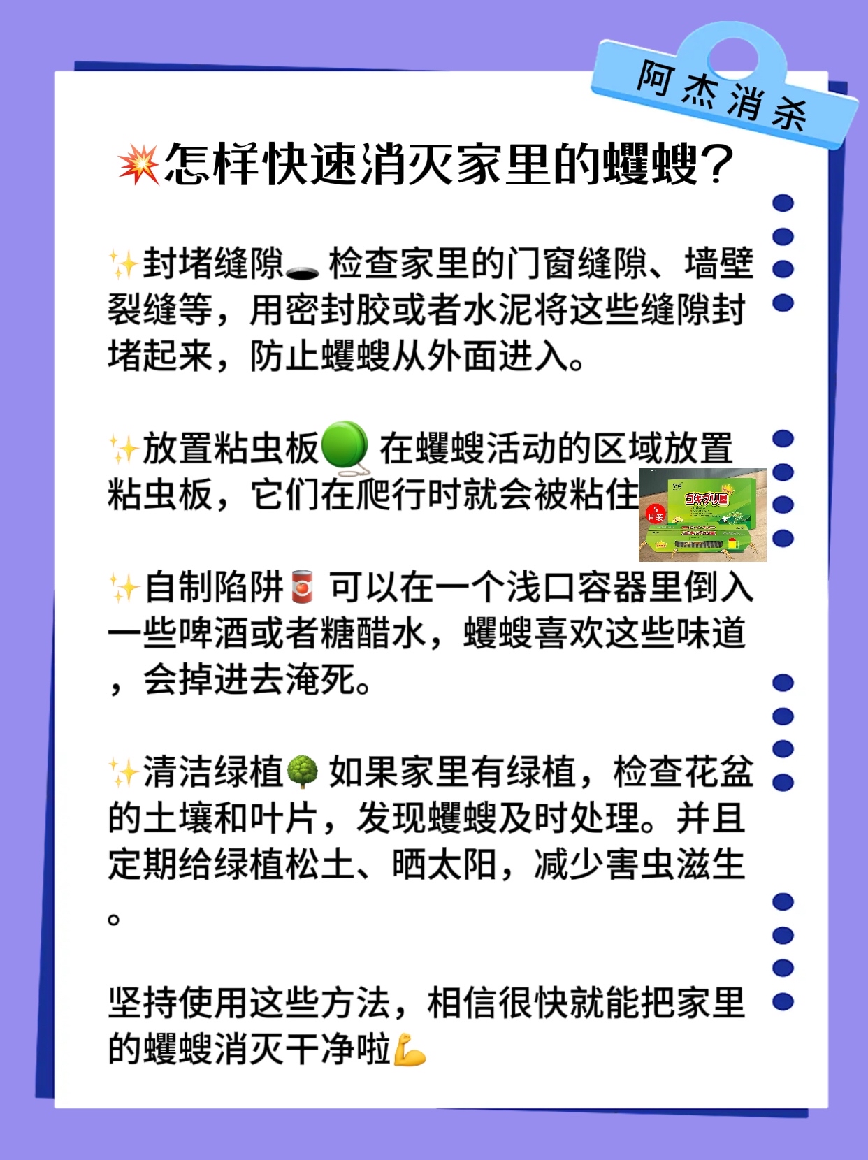 怎样快速消灭家里的蠼螋?