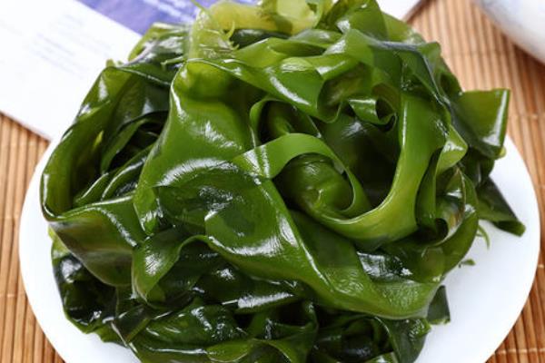 裙带菜是什么菜,裙带菜分布地区