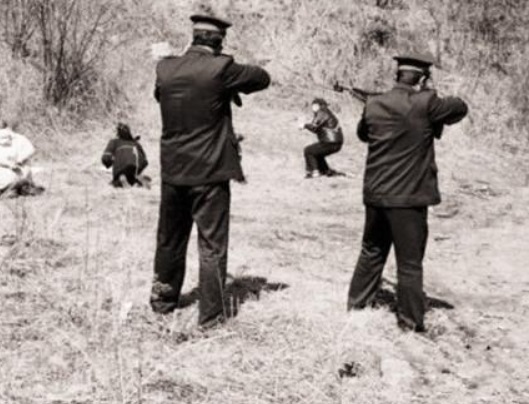 1925年,女匪"驼龙"被枪决,行刑前身穿丝绸旗袍,高喊我不怕死