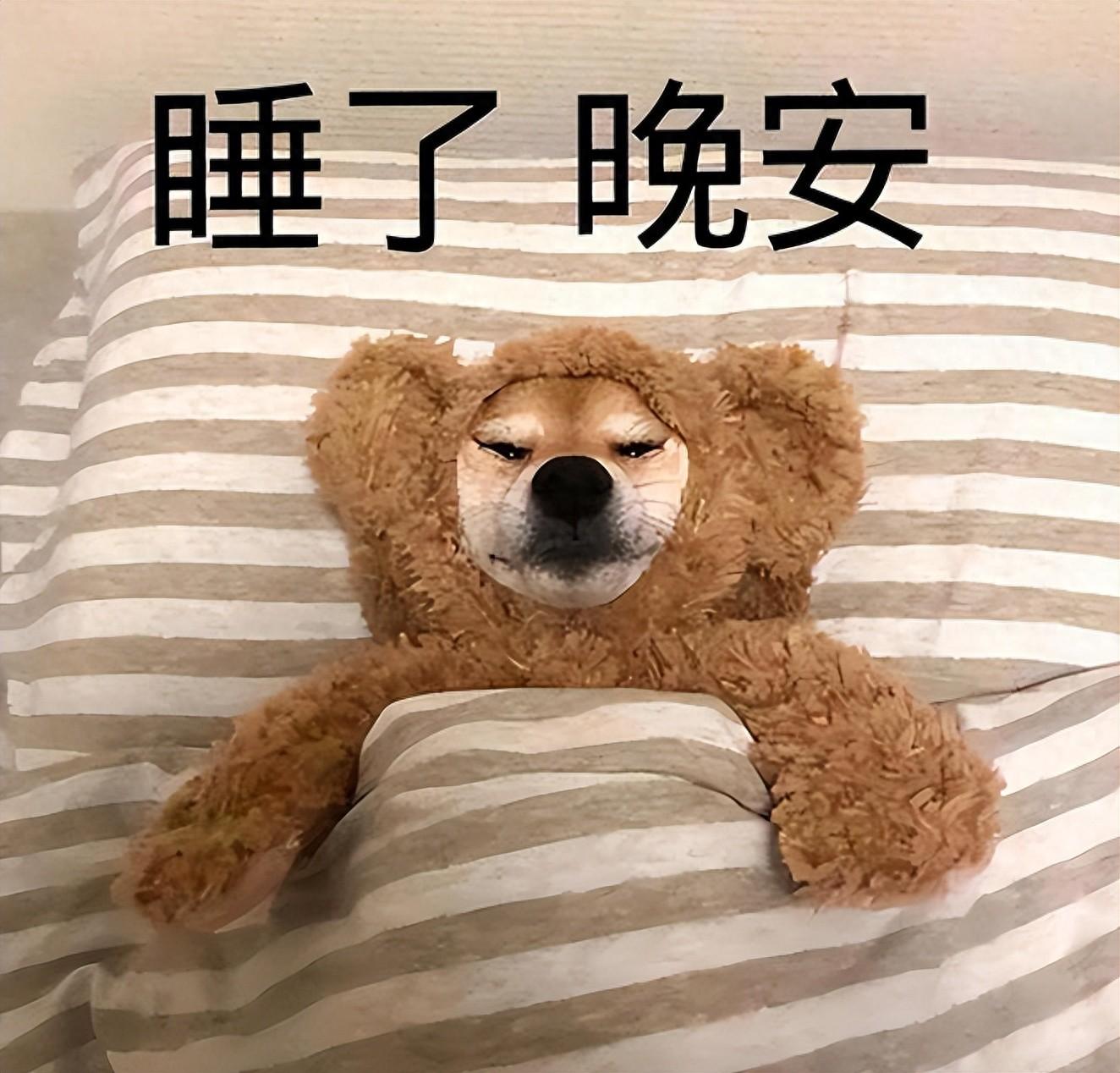 这个看起来有点搞笑的动作,其实是狗狗在跟你讲:"主人,我要睡觉啦,别