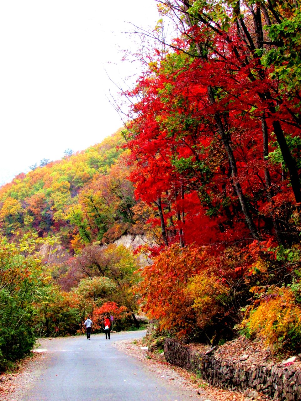 本溪关山湖风景区介绍图片