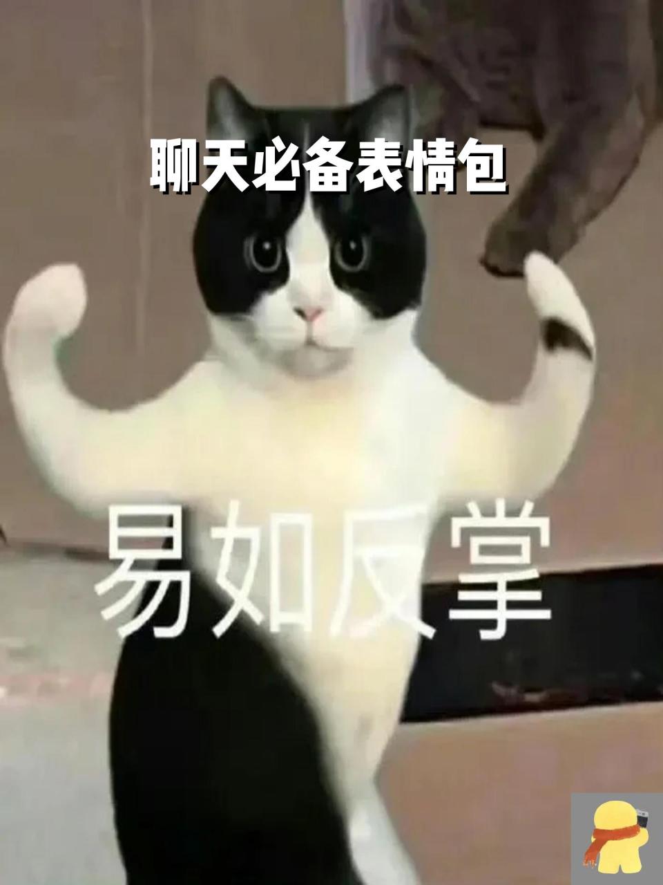 聊天必备表情包 微信表情包又增多了