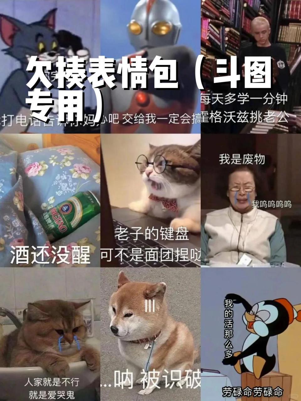 欠揍表情包