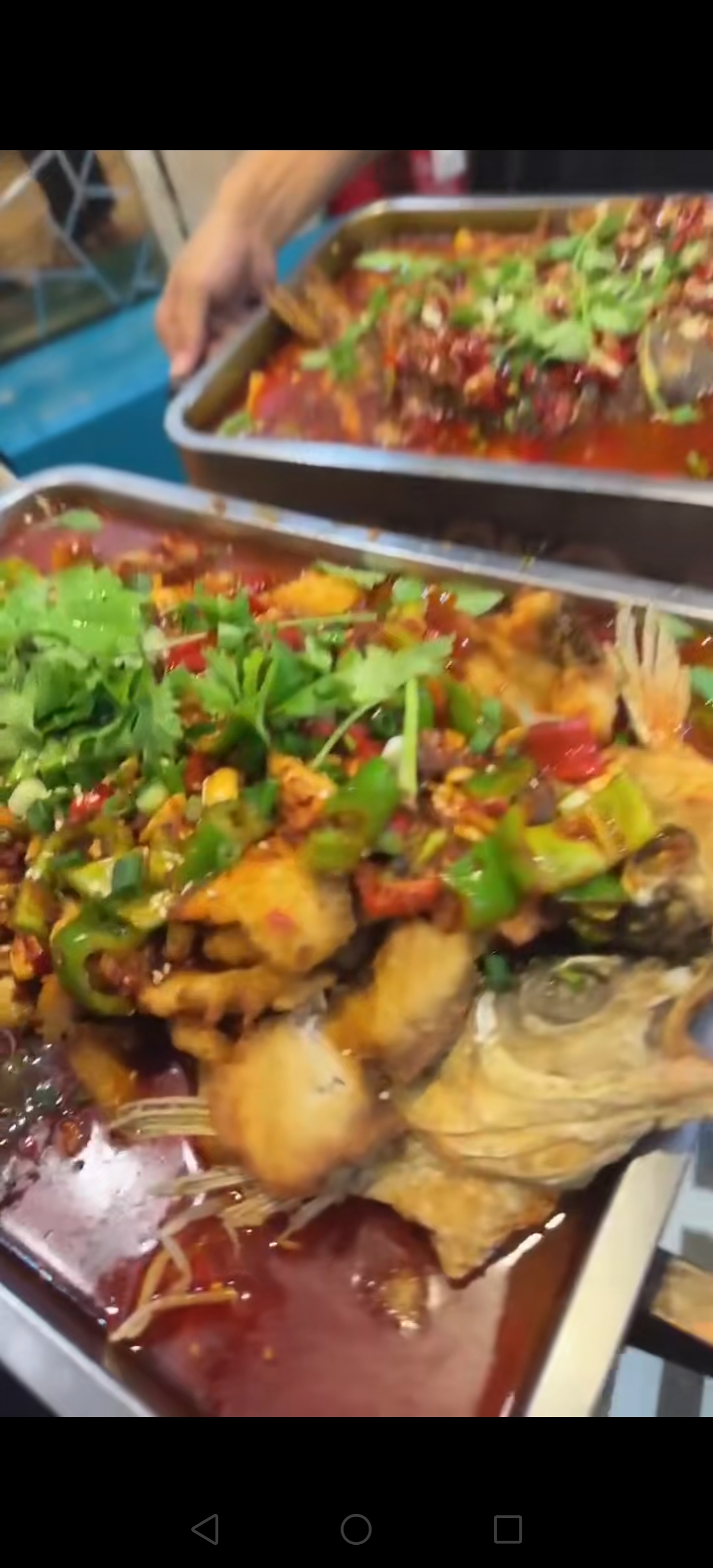 明炉鱼加片片鱼,走起