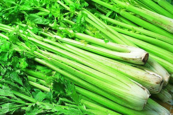 西芹是什么菜,西芹和芹菜的区别