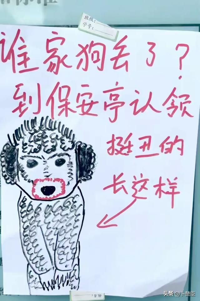 为什么说小狗要偷袈裟图片