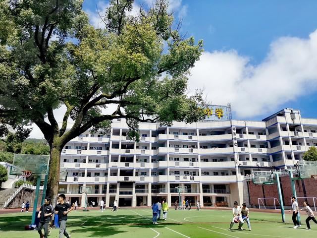 深圳龙岗厚德小学图片