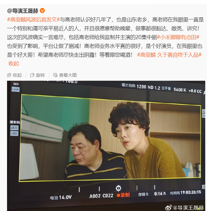 高亚麟导演的作品图片