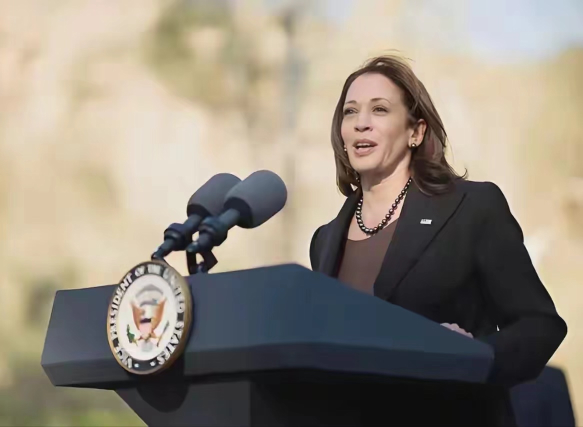 答案是霍华德大学.  哈里斯,博士毕业于哪所院校?