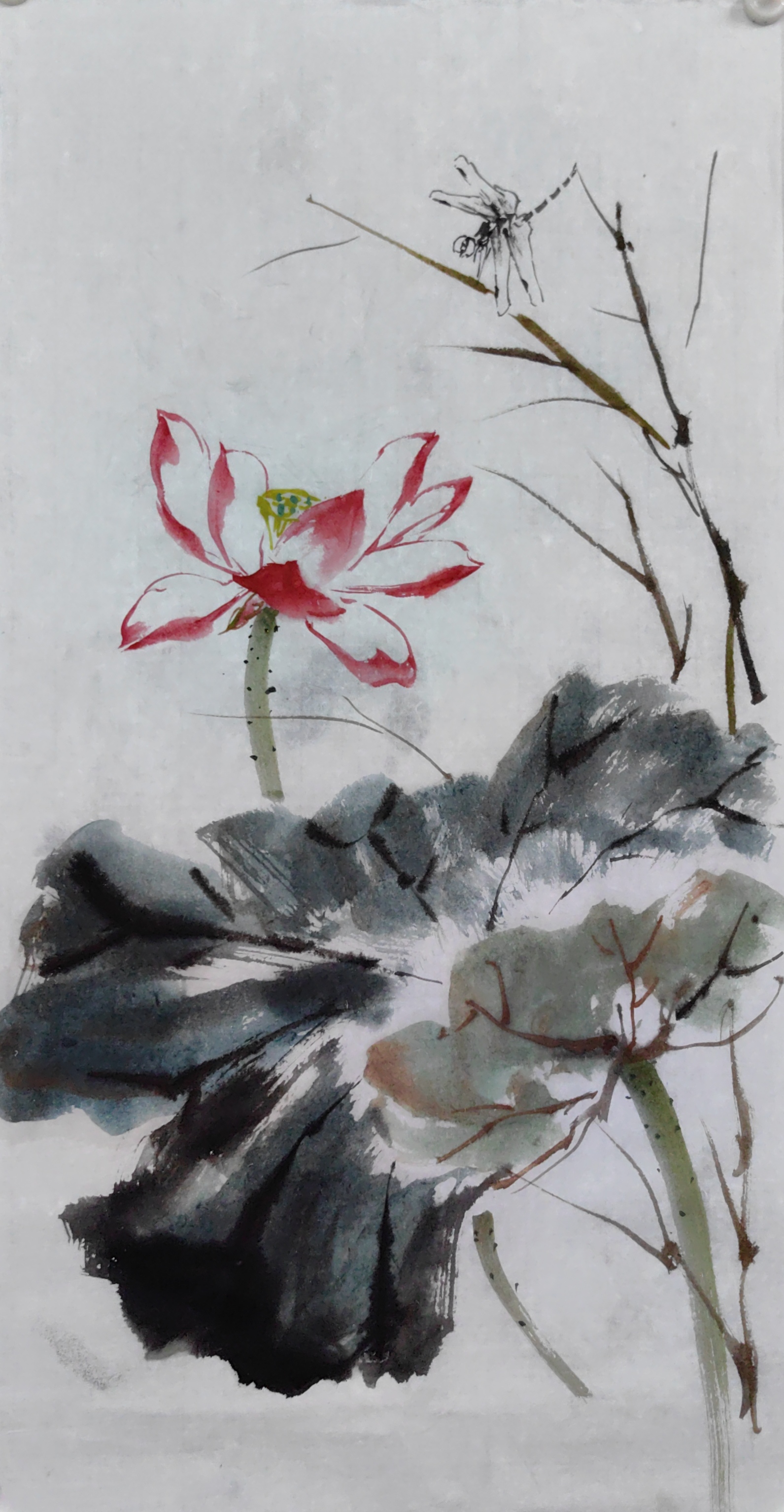 荷花没骨法画扇面