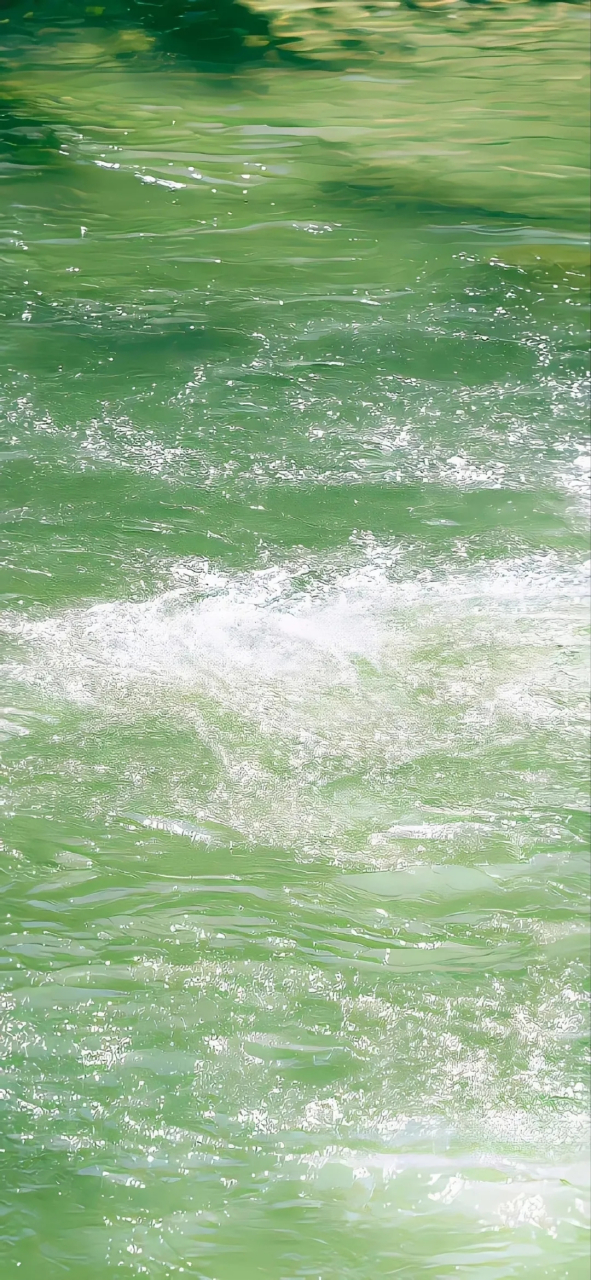 壁纸|夏日清凉壁纸