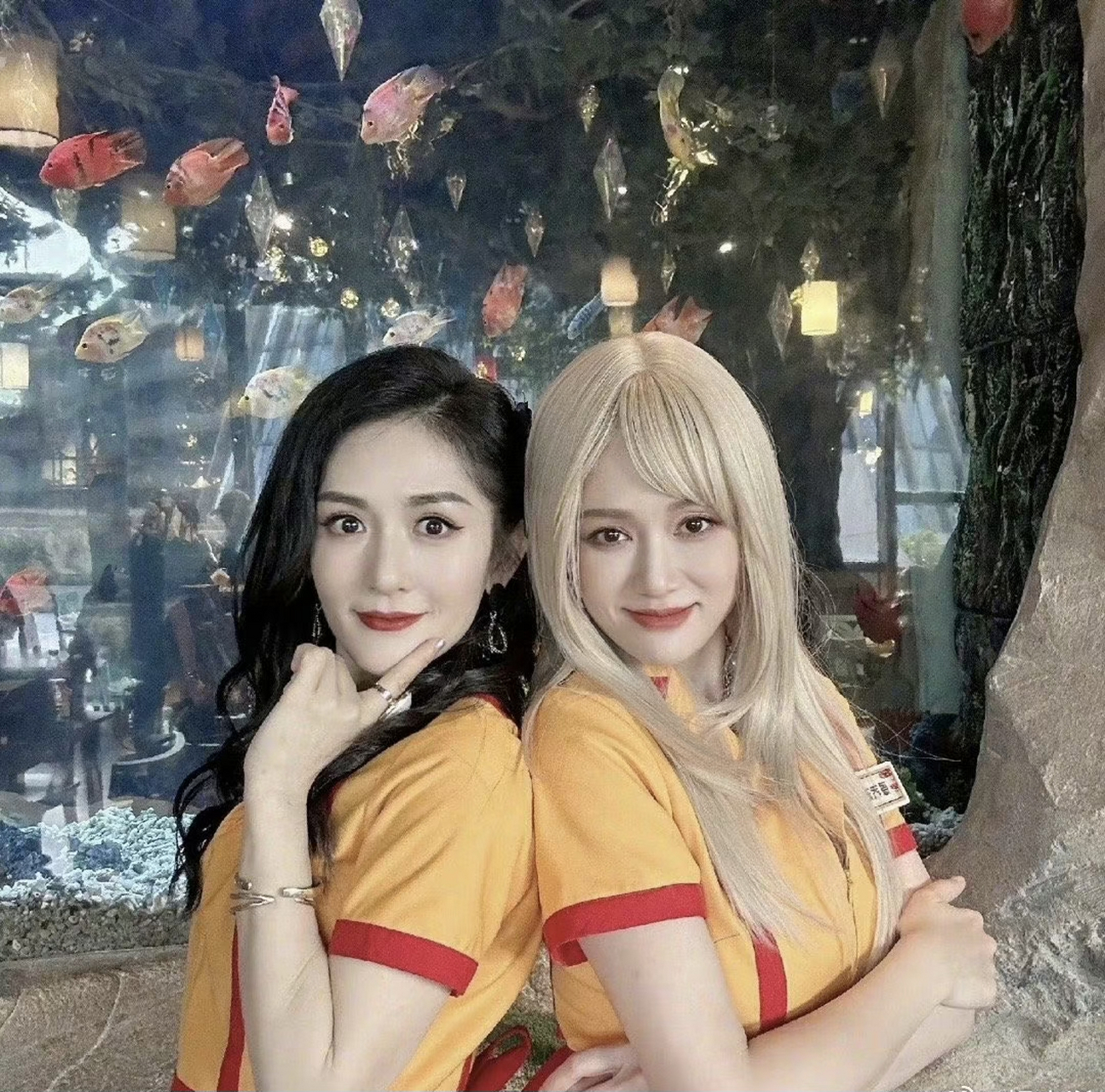 谢娜和陈乔恩cos破产姐妹,陈乔恩还像点样子,谢娜完全不沾边了.