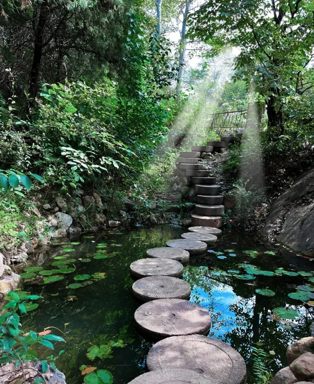 哪儿玩# 雨后的早晨,趁着丝丝凉意抵达隐藏在嵩山脚下的古村落杨家门