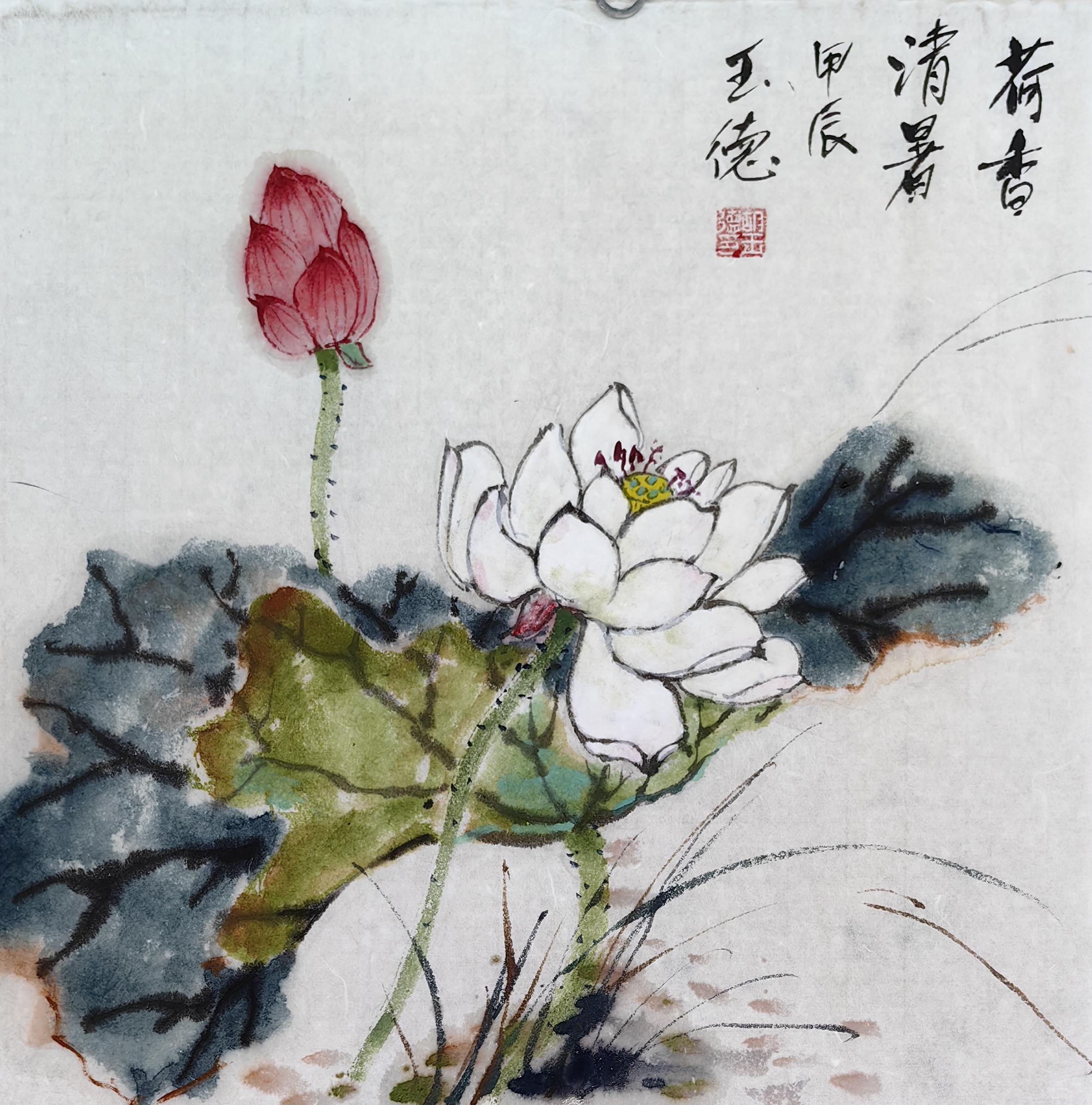 荷花与金鱼组合